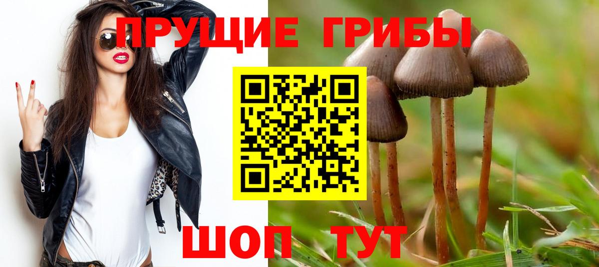 Галлюциногенные грибы мицелий  купить наркоту  Королёв  Вход с VPN 